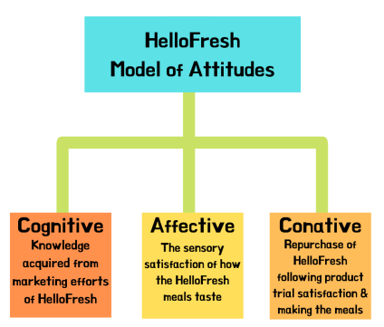 HelloFresh Model of Attitudes